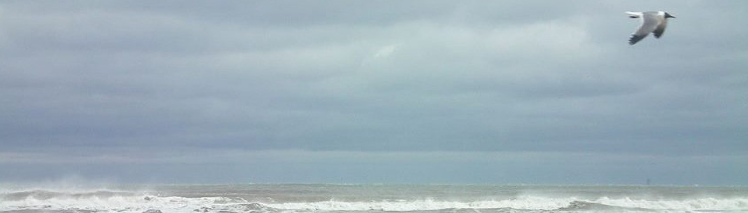 Ignite Your Soul, Release Your Mind